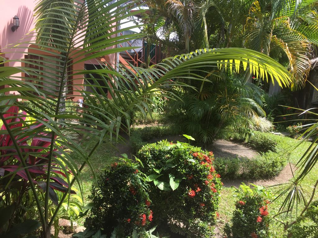 Hotel La Choza Inn La Fortuna Bagian luar foto